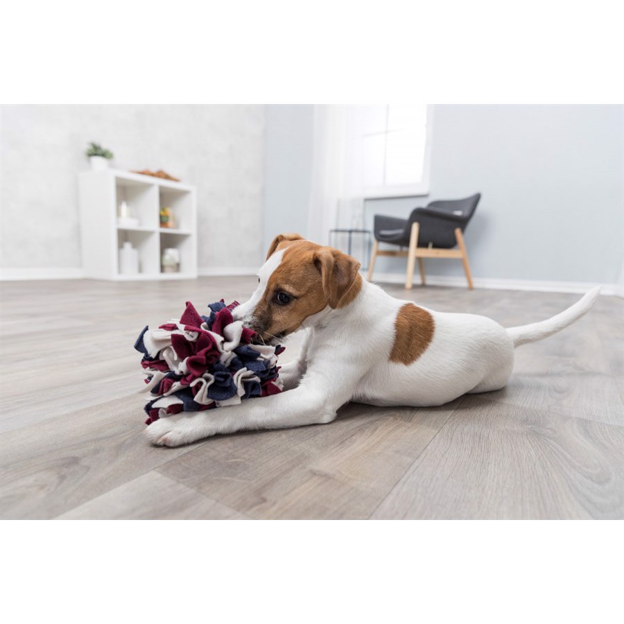 Snusebold Til Hunde Diameter - Trixie Dogtoys  - 4011905320472
